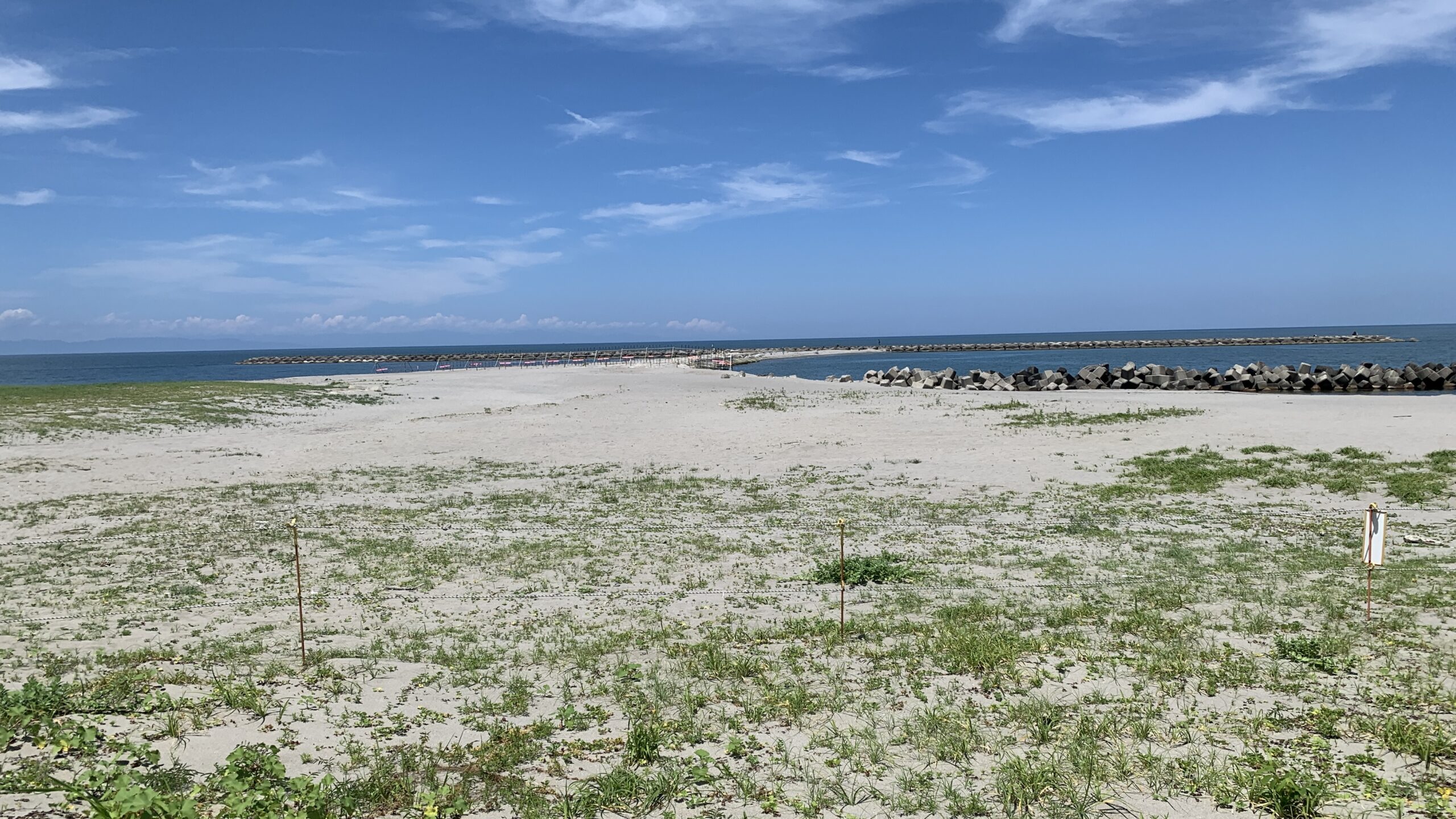 夏の日本海の画像